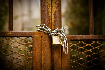 Close-up of padlock on metal gate