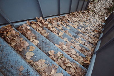 High angle view of footpath