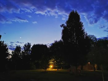 Silhouette trees on field against sky at night