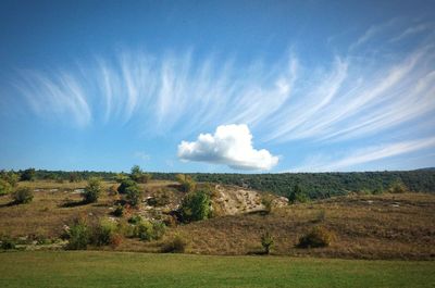 Scenic view of field against blue sky