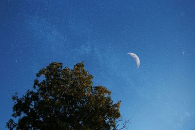 Low angle view of star field against star field