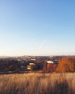 Scenic view of agricultural field against clear blue sky