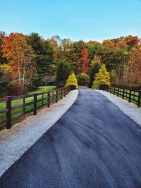 Road amidst trees against sky
