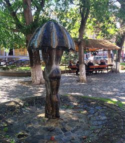 Tree trunk by water