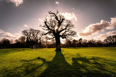 Silhouette trees on field against sky