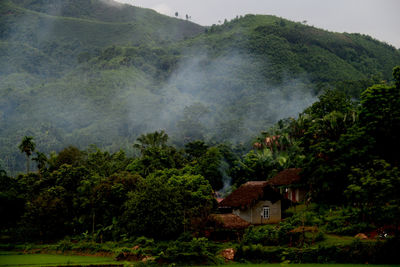 Scenic view of trees and buildings against sky