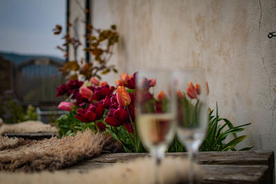 Close-up of flower vase against blurred background