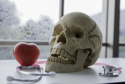 Close-up of human skull on table