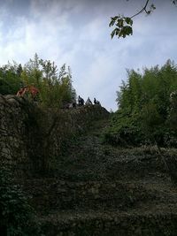 Low angle view of people on tree against sky