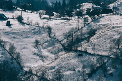 Snow covered landscape
