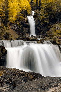 Scenic view of waterfall in forest