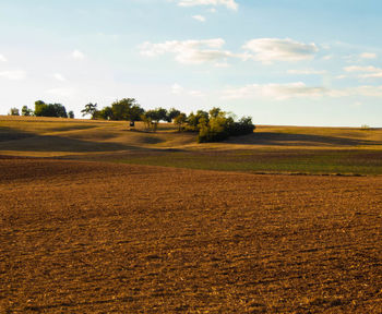 Scenic view of field against sky