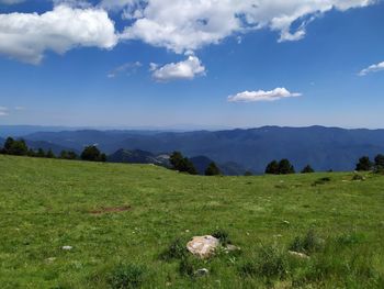 Scenic view of field against sky