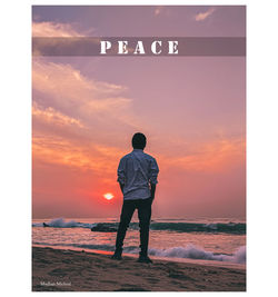 Rear view of man standing on beach during sunset