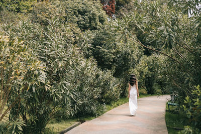 An elegant young woman bride in a wedding dress walks through a green park among plants and trees