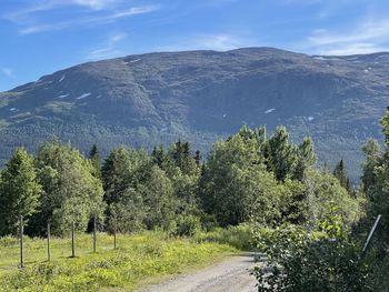 Scenic view of trees and mountains against sky
