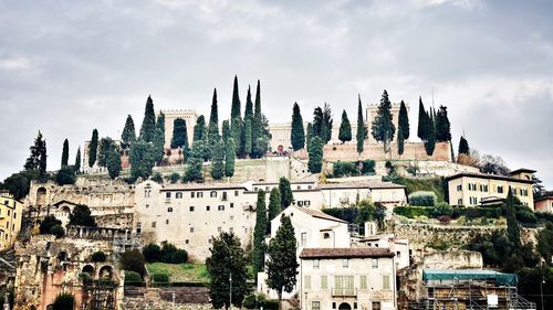 Buildings in city