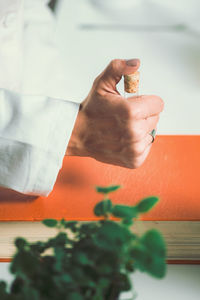 Cropped hands of female scientist experimenting in laboratory