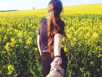Rear view of woman holding hands while walking amidst yellow flowers in field