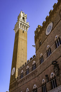 Torre del mangia and palazzo comunale in piazza del campo - clear blue sky - siena, tuscany, italy