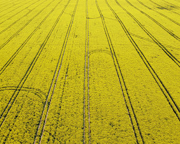 Full frame shot of agricultural field