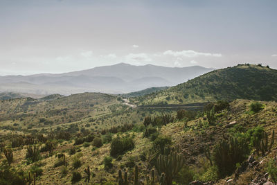 Scenic view of landscape against sky