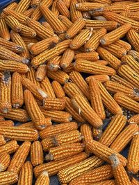 Full frame shot of corns