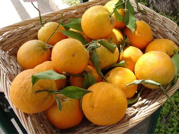 Close-up of fruits in basket