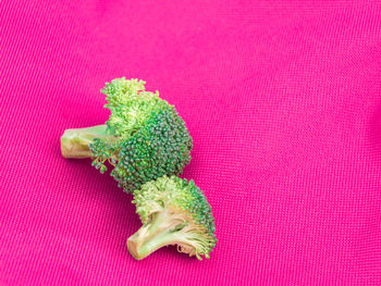 High angle view of pink flower on table