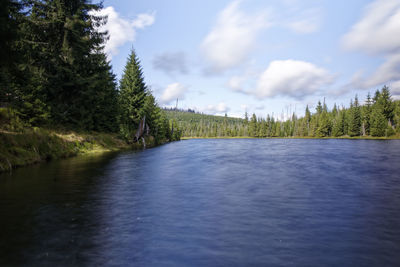 Scenic view of lake in forest against sky