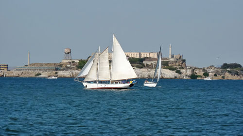 Sailboat sailing on sea against clear sky