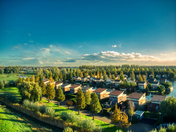 Aerial view of trees on field against blue sky