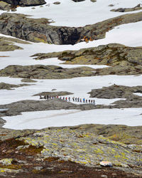 Scenic view of snow covered land and sea