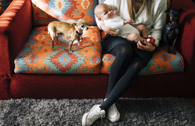 Sad newborn infant in white pajama on arms of crop caring mother with crossed legs sitting on bed near dogs at home