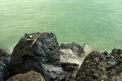 Rear view of man standing on rock