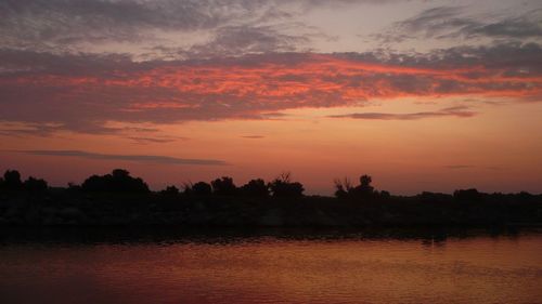 Scenic view of silhouette trees against orange sky