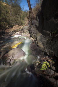 Stream flowing through rocks in forest