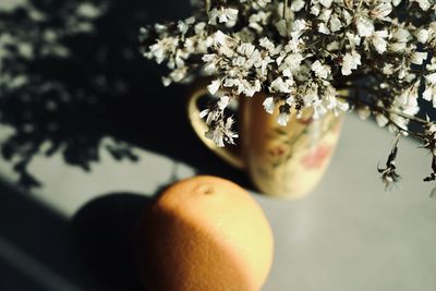 Close-up of cherry blossoms on tree