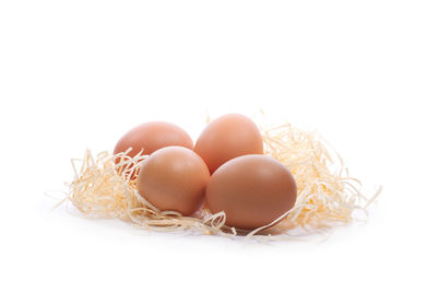 Close-up of eggs against white background