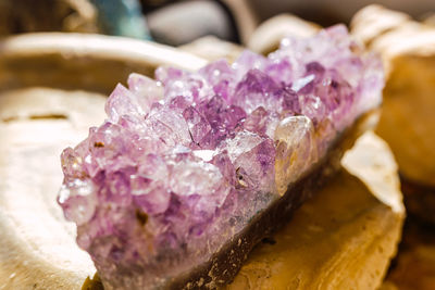 Close-up of purple on rock