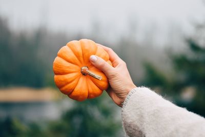 Close-up of hand holding pumpkin