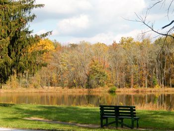 Bench in park during autumn