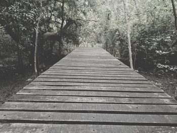 Empty footpath amidst trees in forest
