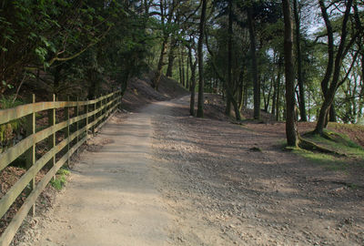 Empty road amidst trees in forest