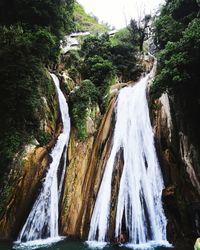 Panoramic view of waterfall in forest