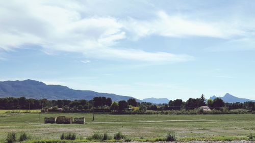 Scenic view of green landscape against sky