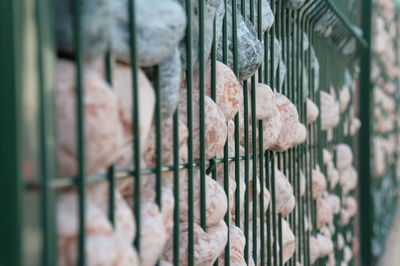 Close-up of metal fence against wall