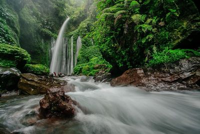 Scenic view of waterfall