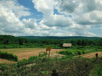 Scenic view of agricultural field against sky