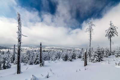 Scenic view of snow covered land against sky